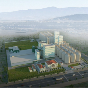 Xây dựng nhà phối trộn & silo chứa bột mì  mê kong